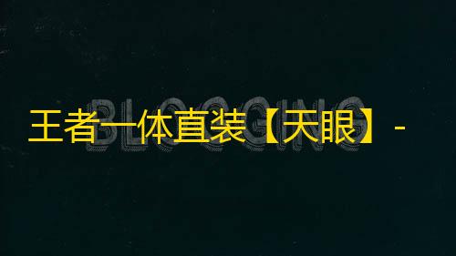 王者一体直装【天眼】-