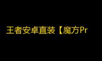 王者安卓直装【魔方Pro/透视/野怪技能CD计时/直装注入】