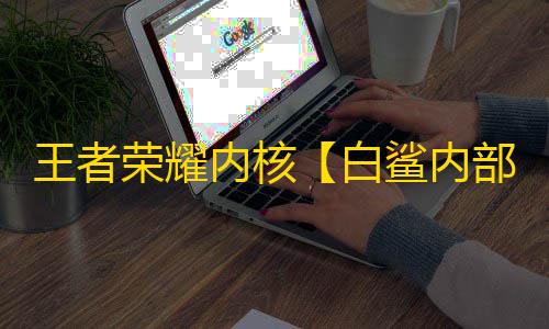 王者荣耀内核【白鲨内部】辅助
