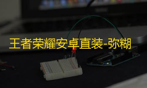 王者荣耀安卓直装-弥糊桃辅助