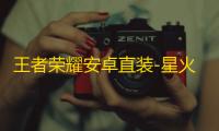 王者荣耀安卓直装-星火辅助