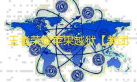 王者荣耀苹果越狱【美团】辅助
