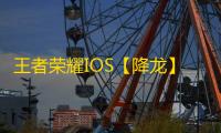 王者荣耀IOS【降龙】辅助