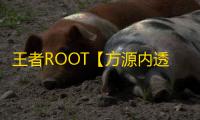 王者ROOT【方源内透】辅助