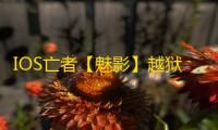 IOS亡者【魅影】越狱-辅助